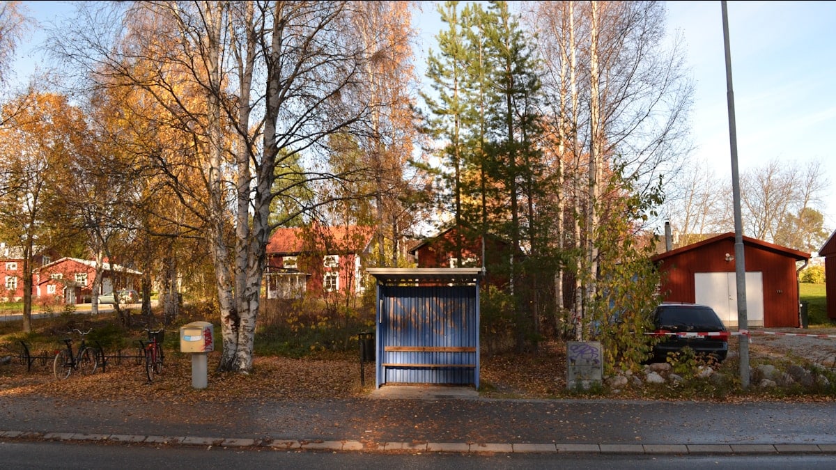 Liikumine igapäevaelus